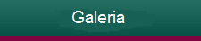 btn_galeria
